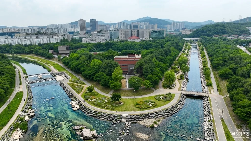배치 후 시안
